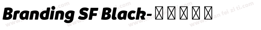 Branding SF Black字体转换